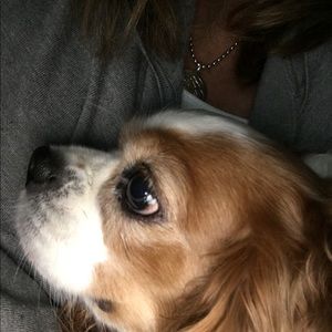 Meet your Posher, Sharon